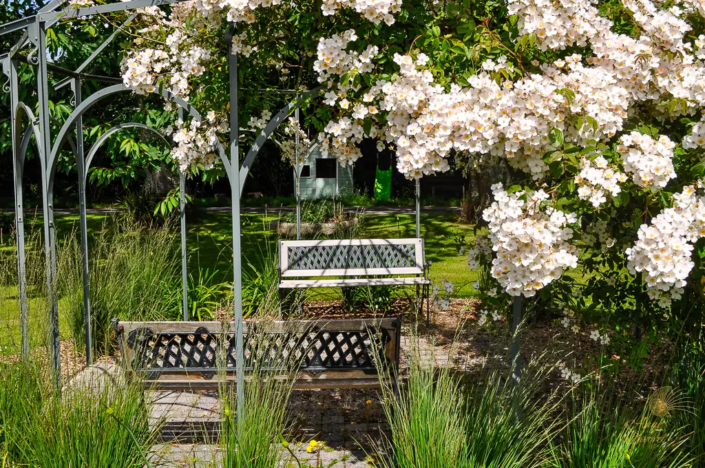 banc gloriette rosa filipes kiftsgate