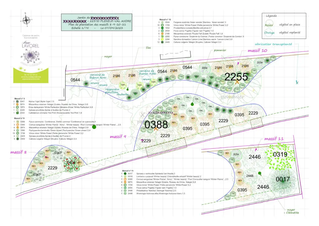 plan de plantation