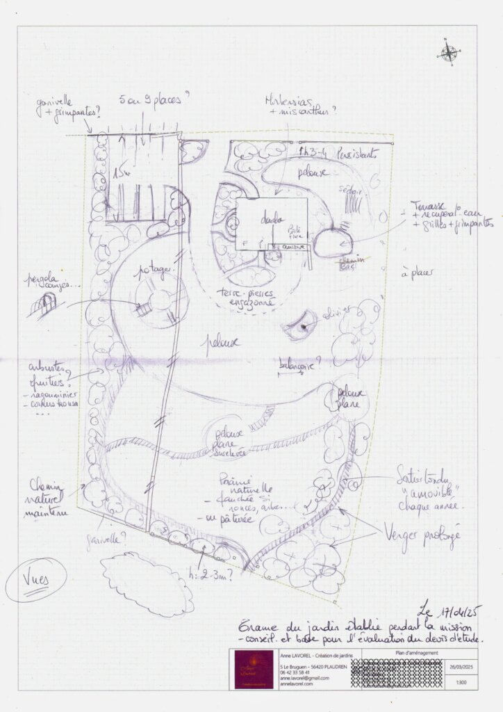 avant projet jardin
