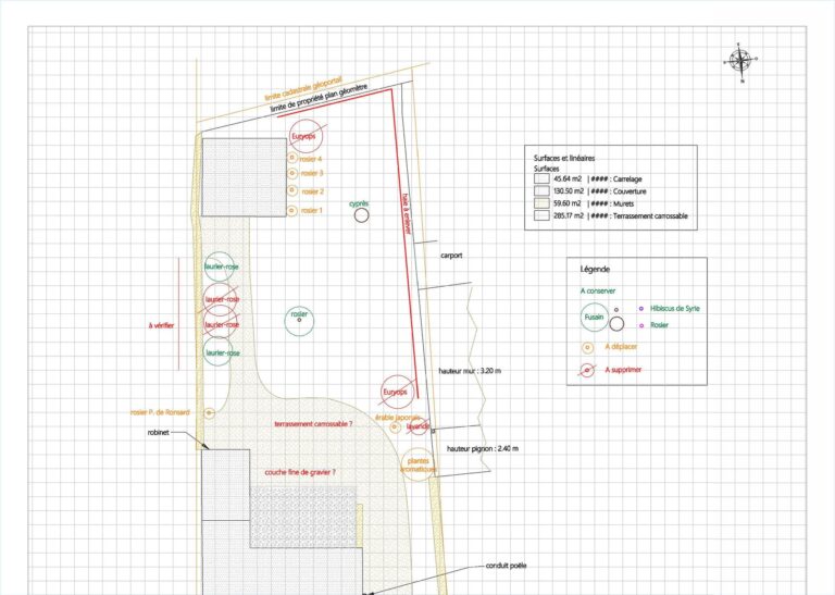 plan jardin existant
